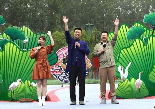 安崎娱乐爆料最新消息视频,揭秘神秘视频背后的惊人真相！